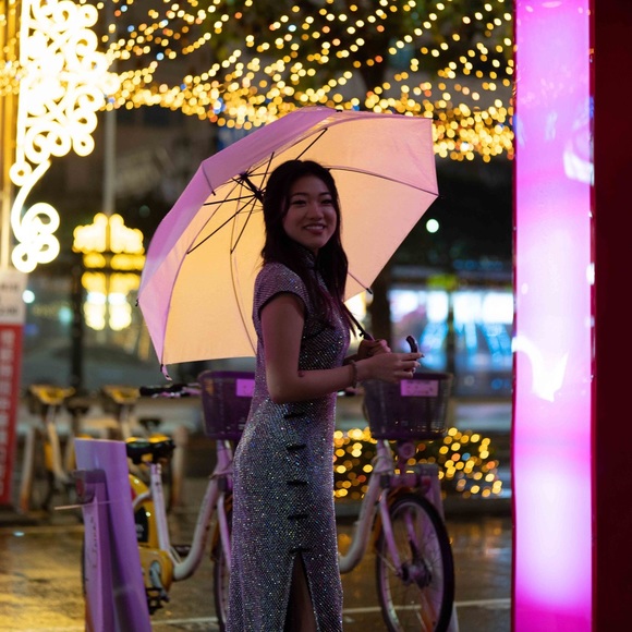 Sau Lee Crystal Dress, Size XS, Embellished Mesh, Rhinestones, Qipao - Picture 4 of 5